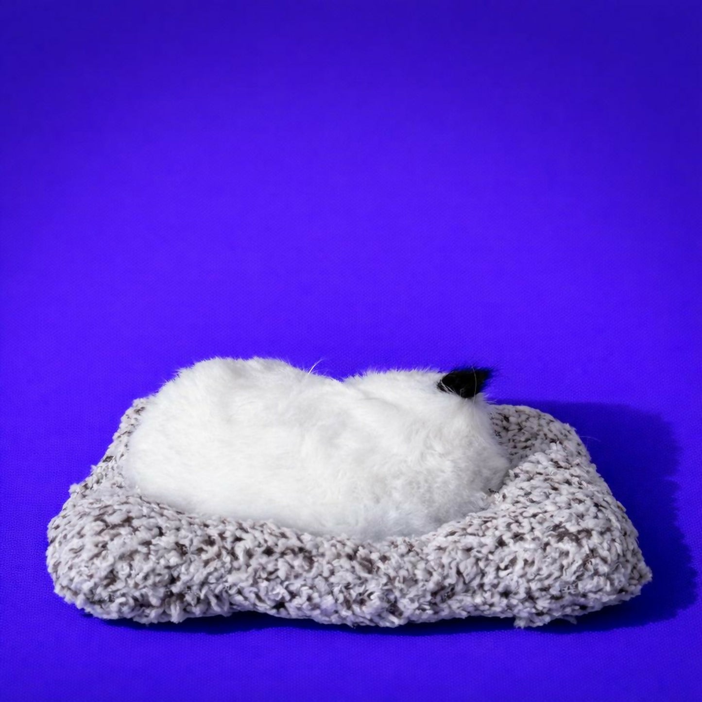 Sleeping White Cat Car Dashboard Plush Showpiece Soft Cute Cat Toy Decor