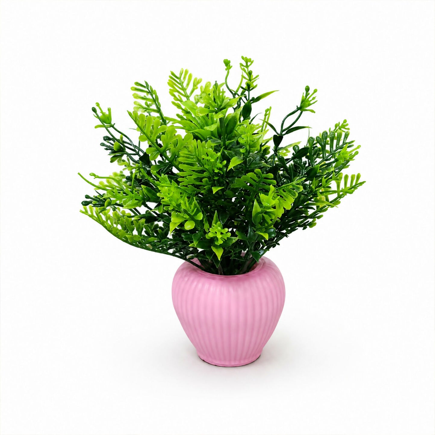 Decorative-Flower-Plant-05