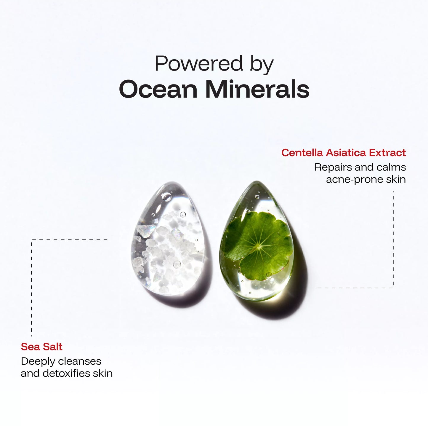 CINCINNUS Sea Salt Oil Control Facial Cleanser (210 ml)