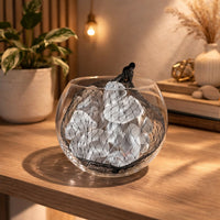 White Decorative Pebble Stones for Vase & Aquarium Decor