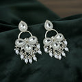 Elegant Dangle Earrings – Pearl Drop Design for Women