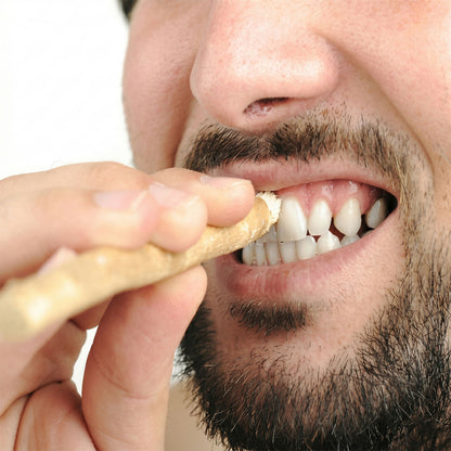 Pack of 10 neem wood tooth sticks for oral care
