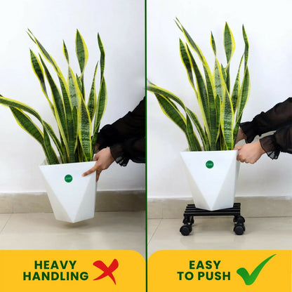 Square Heavy Duty Plant Pot Trolley with Wheels for Easy Movement, Indoor & Outdoor Planter Stand (9x9x6 Inch)