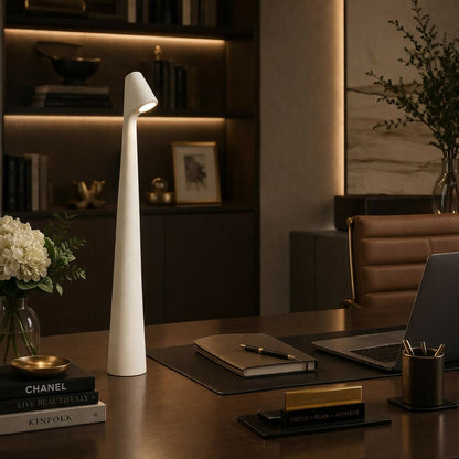 Modern LED Desk Lamp Touch Control USB Rechargeable Study Light