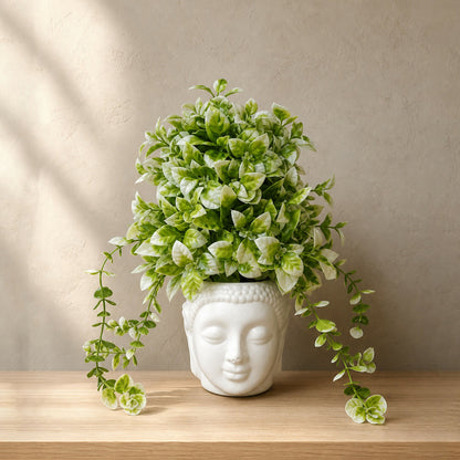 Plant 2