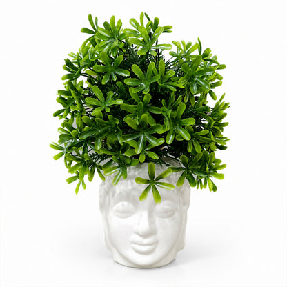 Decorative-Plant-05