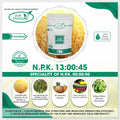 NPK 13:00:45 Water Soluble Fertilizer – Boosts Crop Yield
