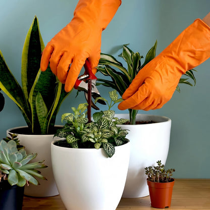 Close-up of orange cleaning gloves