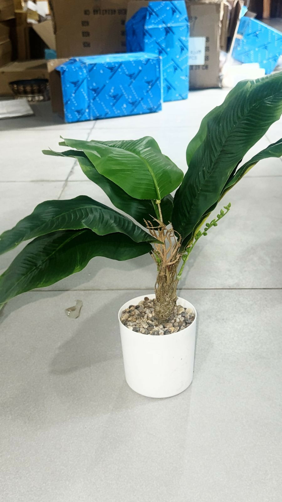 Artificial Large Leaf Tabletop Plant with Pot for Home & Office Décor