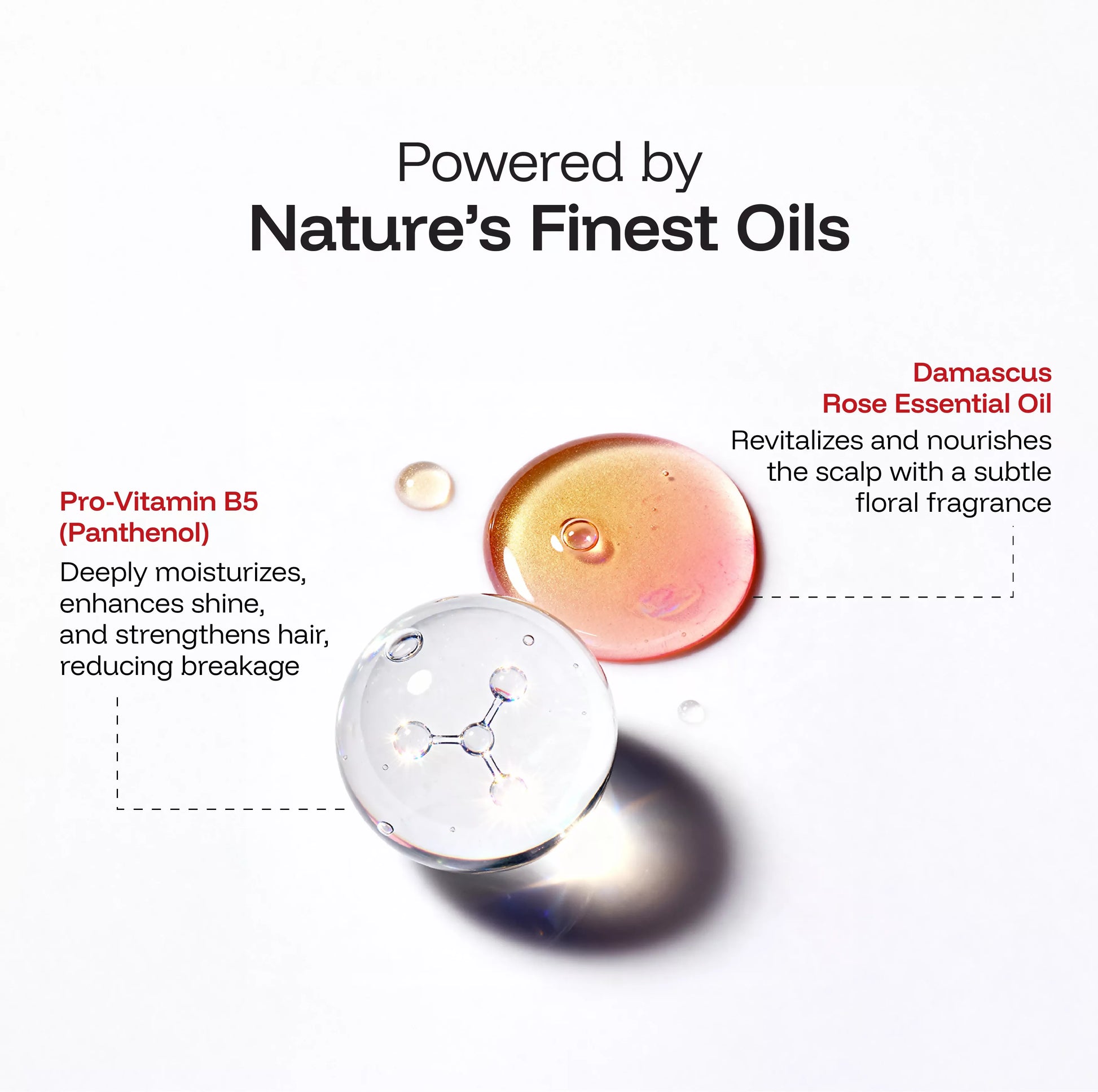 Application of nourishing hair mask on towel-dried hair for repair