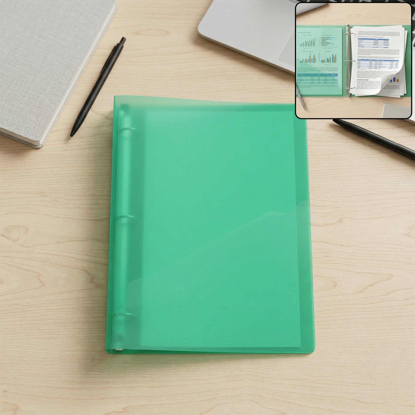 A4 Size Transparent Ring Binder File Folder 1 Pc (29.5 x 25.5 Cm)