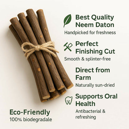 Bundle of natural neem tooth cleaning sticks