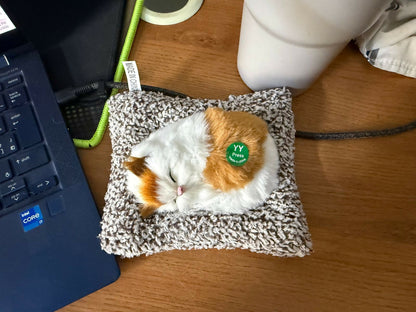 Sleeping cat plush toy adding cozy touch to shelf