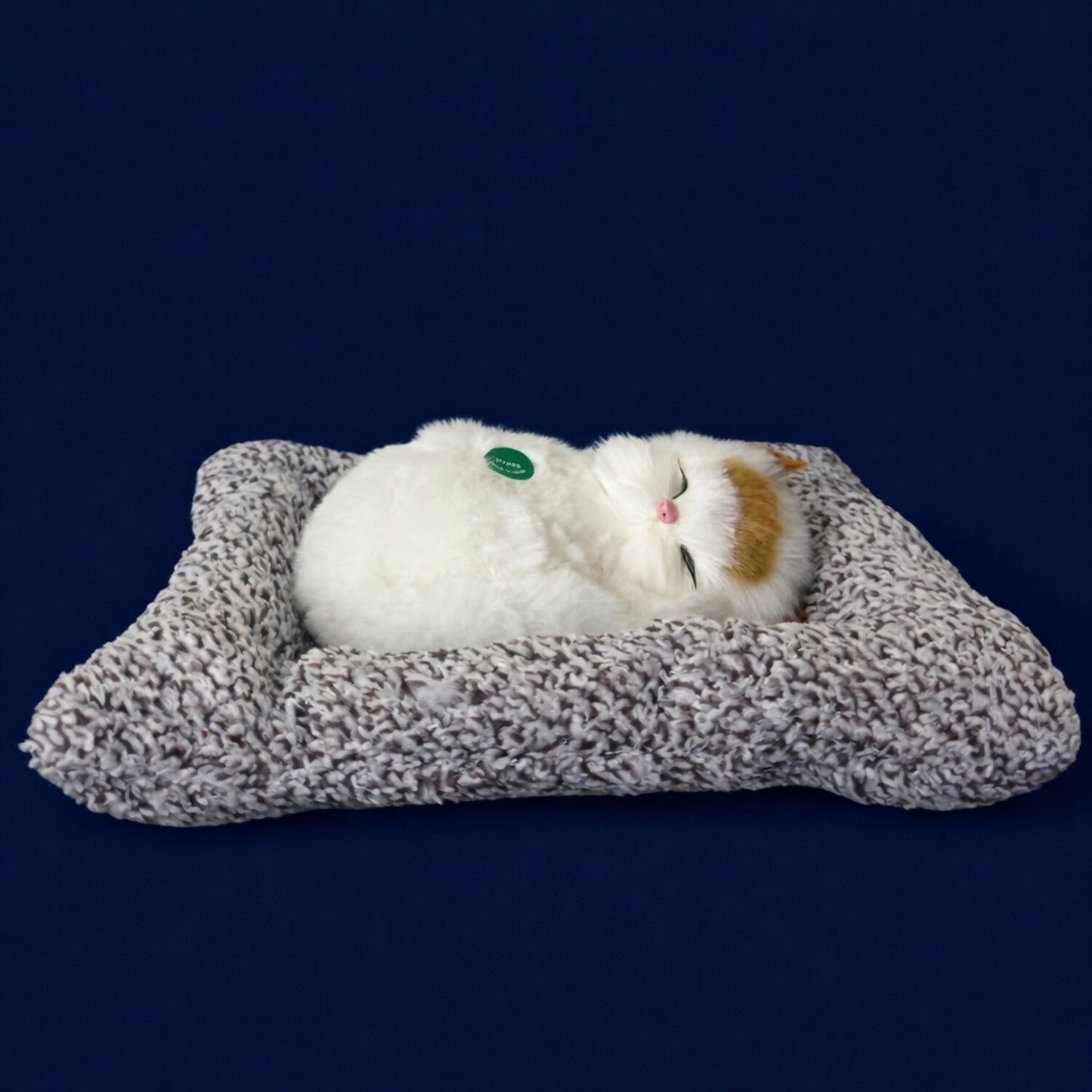 Sleeping Cat Showpiece on Soft Cushion for Home & Office Desk Decor