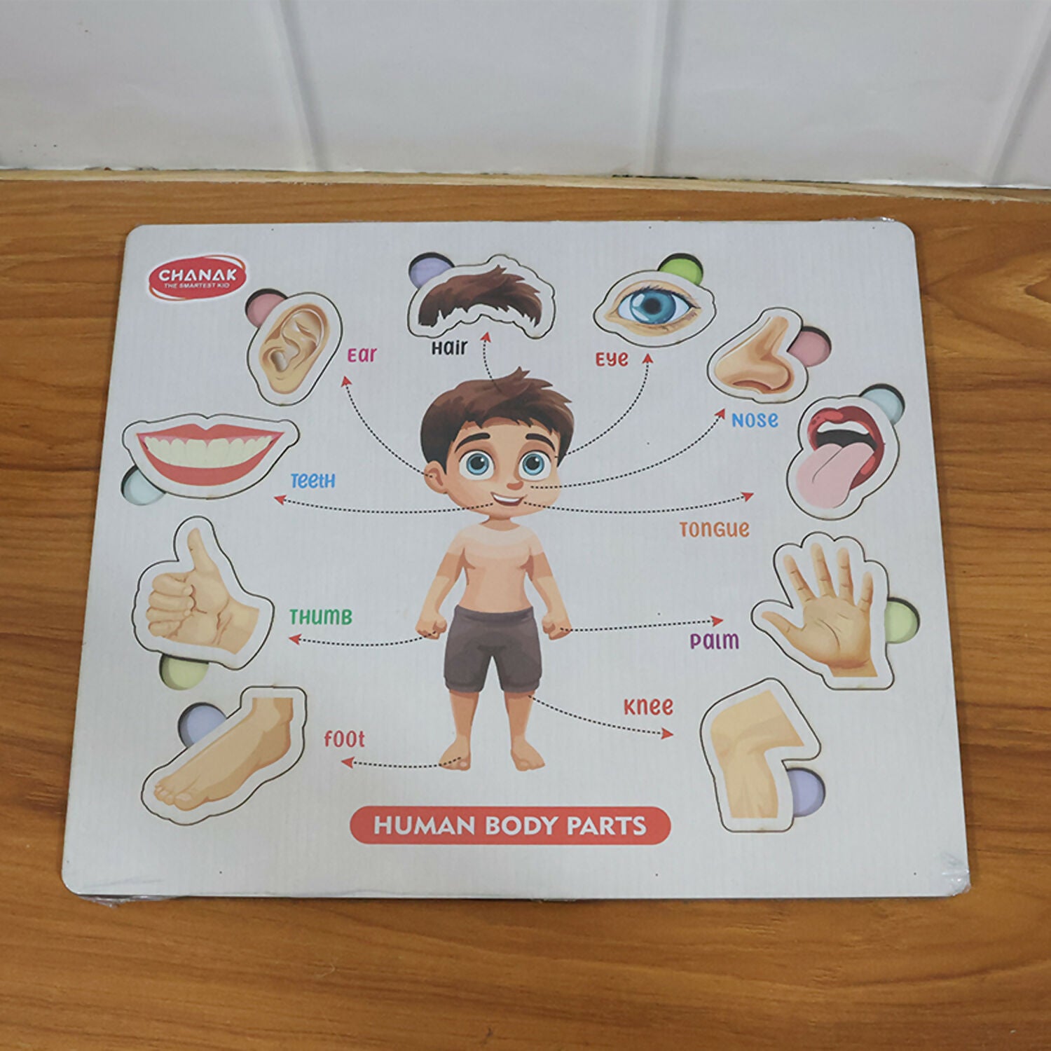 Wooden Human Body Parts Puzzle – Fun Early-Learning Board for Kids