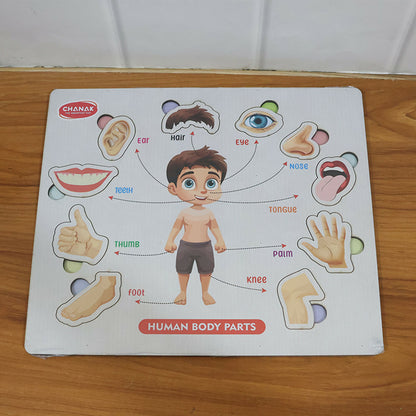 Wooden Human Body Parts Puzzle – Fun Early-Learning Board for Kids