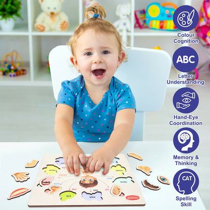 Wooden Human Body Parts Puzzle – Fun Early-Learning Board for Kids