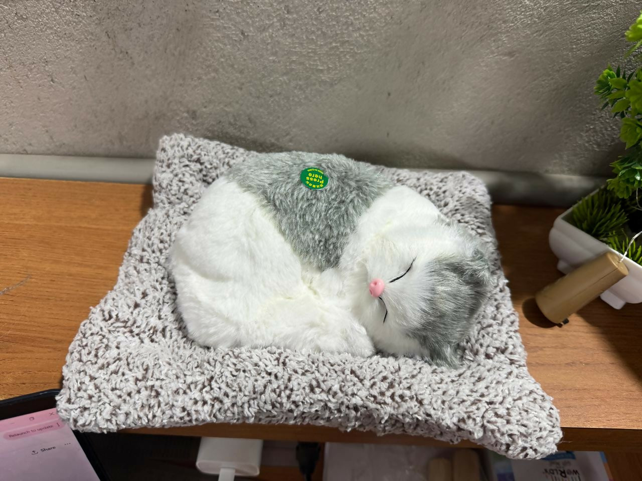 Premium Grey & White Sleeping Cat Dashboard Toy