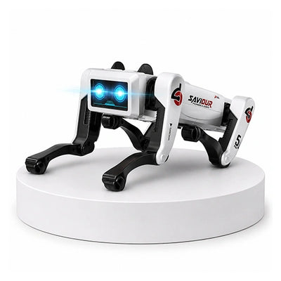 Remote & App-Controlled Toys