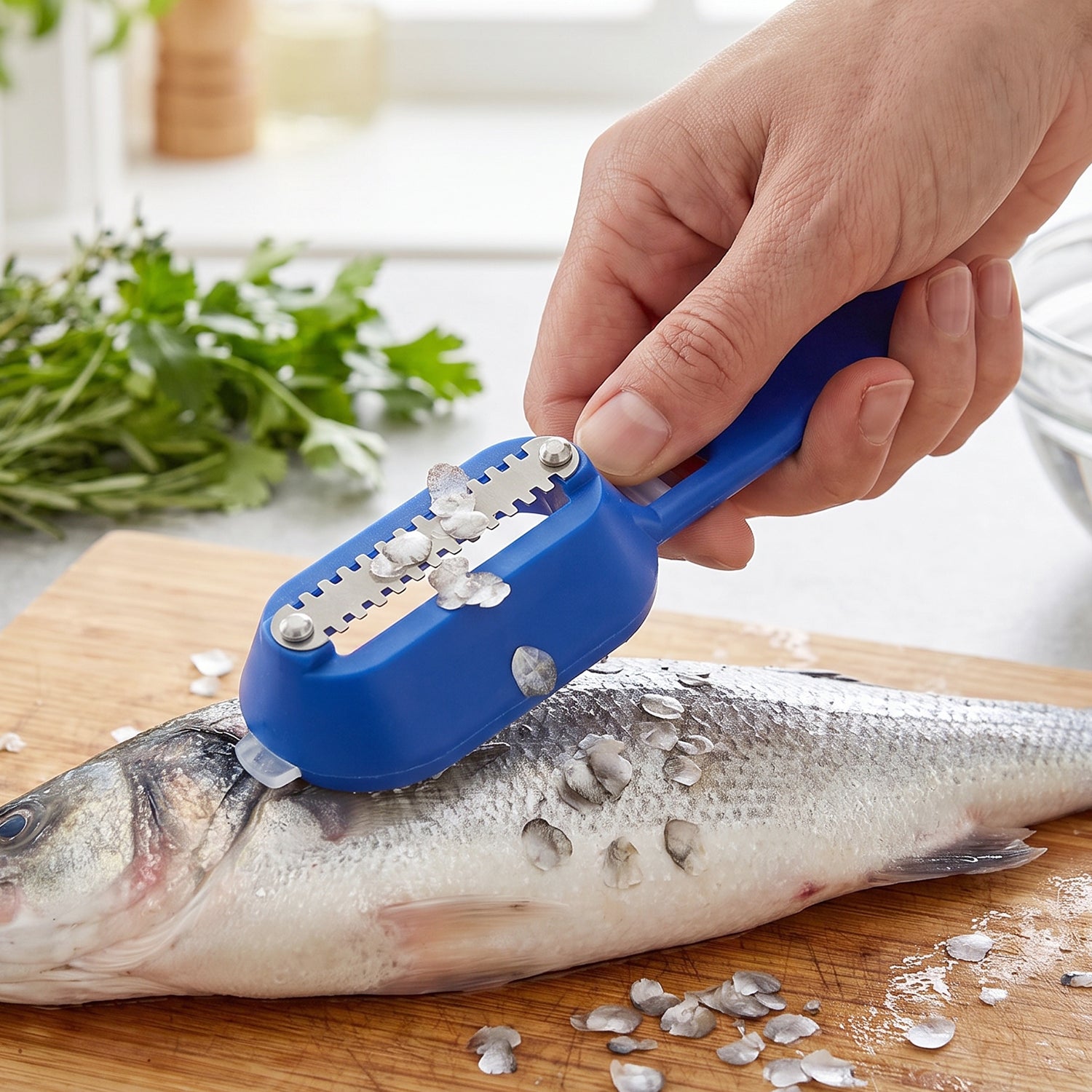 Fish Scaler Scraper with Lid Scale Remover Skin Cleaner for Kitchen (1 Pc)