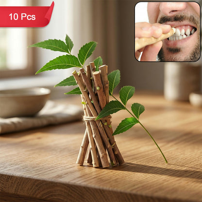 Natural neem wood tooth cleaning sticks on white background