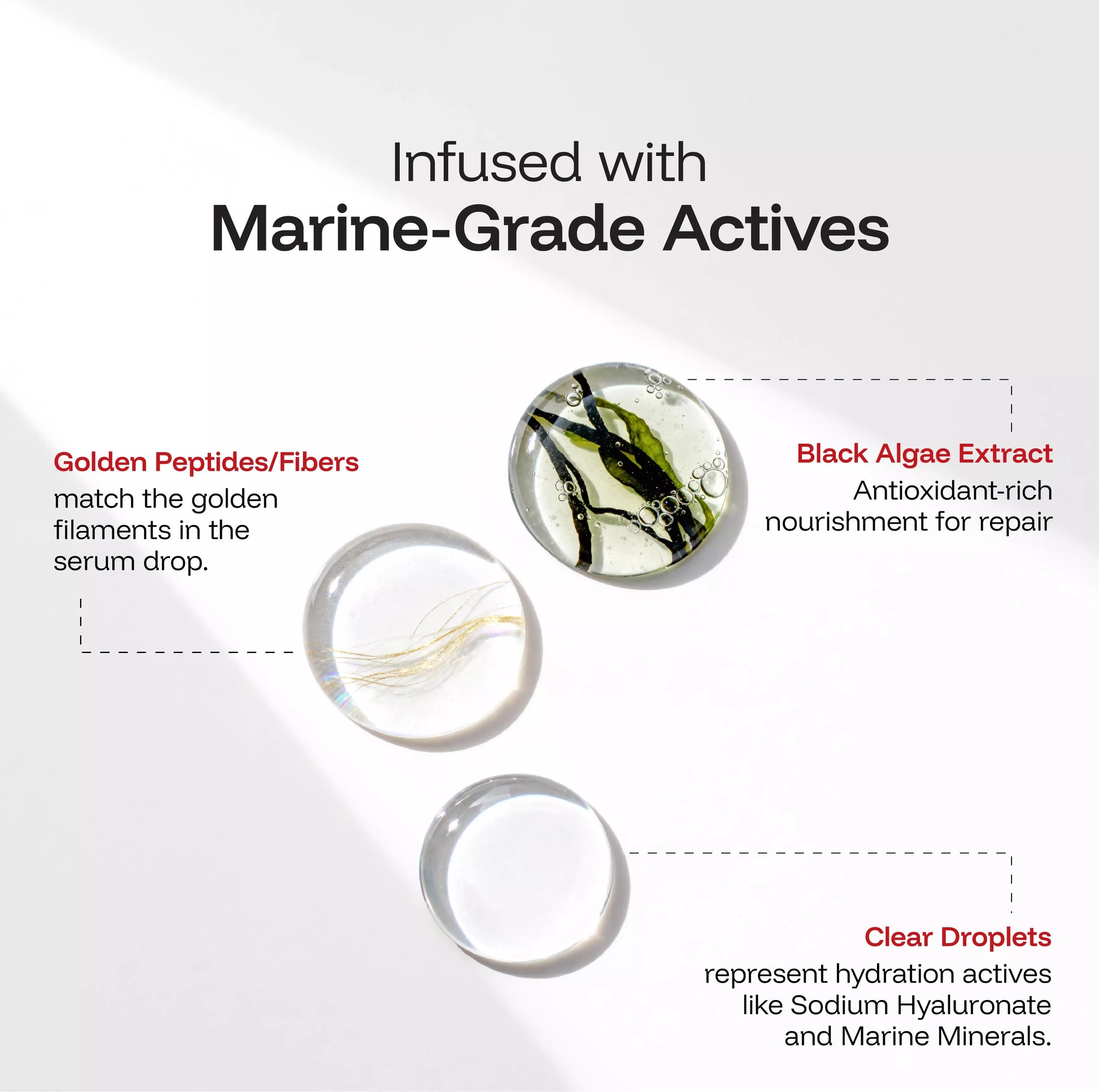 CINCINNUS Black Algae Extract Frizz Repair Conditioner