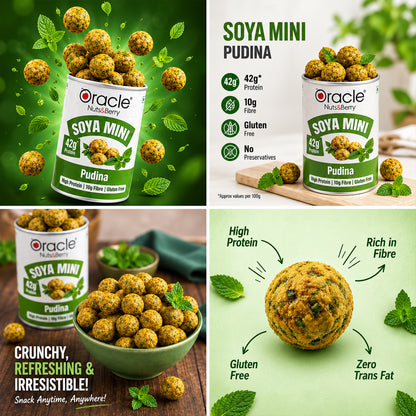 Pudina Soya Mini Premium High Protein Roasted Crunchy Fresh Mint Soya Bites (120g)