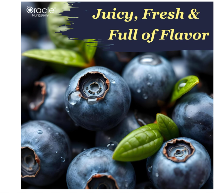 Oracle Premium Dried Whole Blueberries 250gm – Rich in Antioxidants, Vitamin C & Fiber – Healthy Superfood Snack for Immunity, Energy & Baking
