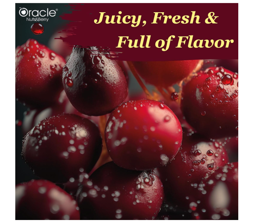 Oracle Premium Roasted & Salted Cranberries 250gm – Naturally Tangy Superfruit Snack Rich in Vitamin C, Fiber & Antioxidants