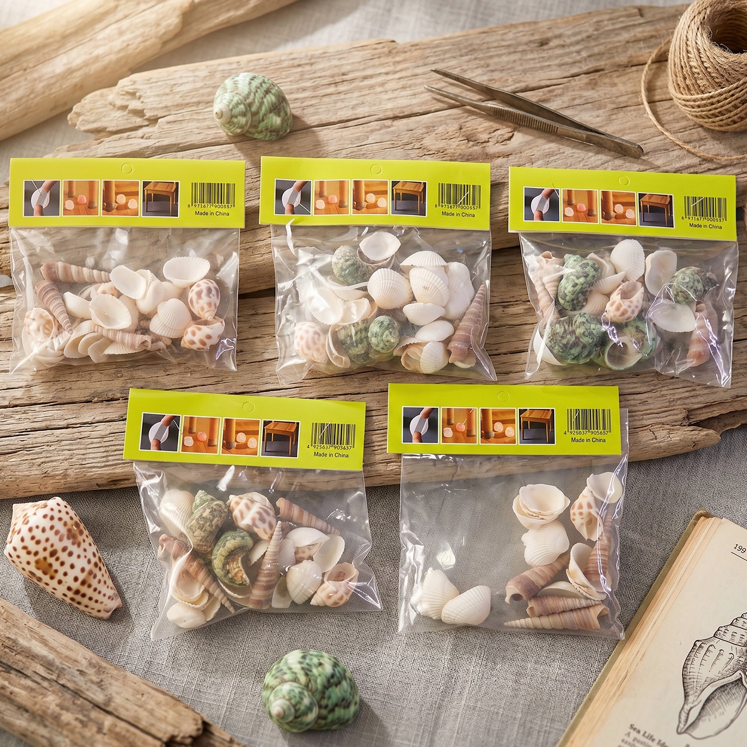 Natural Decorative Sea Shells Set (1 Set)