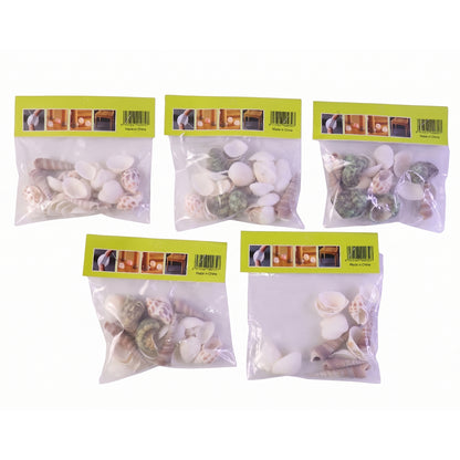 Natural Decorative Sea Shells Set (1 Set)