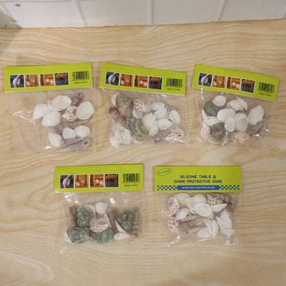 Natural Decorative Sea Shells Set (1 Set)