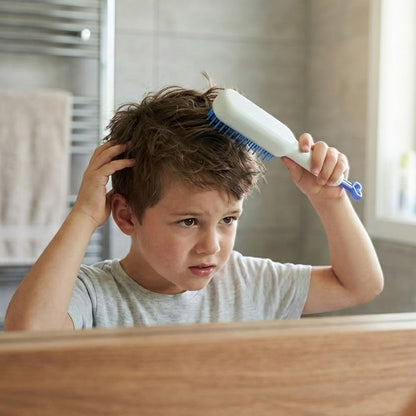 Self-Cleaning Hairbrush, Massage Comb (1 Pc / With Box), Hair accessories