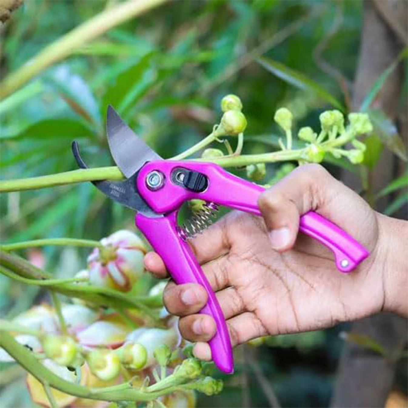Garden Scissors & Pruner | Stainless Steel Gardening Shears with Soft Grip Handle, Sharp Cutting Blades for Pruning Plants, Flowers, Herbs, Stems & Small Branches, Gardening Tool for Home & Garden - Multicolor - Image 4