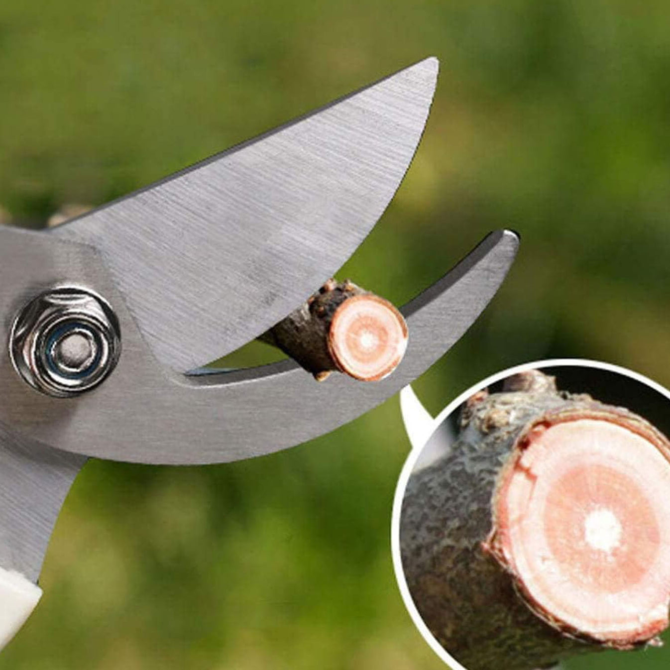 Garden Scissors & Pruner | Stainless Steel Gardening Shears with Soft Grip Handle, Sharp Cutting Blades for Pruning Plants, Flowers, Herbs, Stems & Small Branches, Gardening Tool for Home & Garden - Multicolor - Image 3