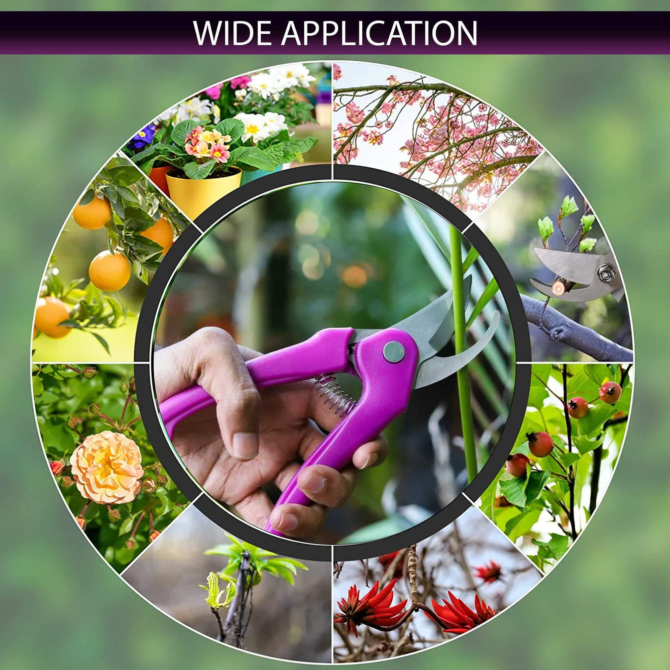 Garden Scissors & Pruner | Stainless Steel Gardening Shears with Soft Grip Handle, Sharp Cutting Blades for Pruning Plants, Flowers, Herbs, Stems & Small Branches, Gardening Tool for Home & Garden - Multicolor - Image 7