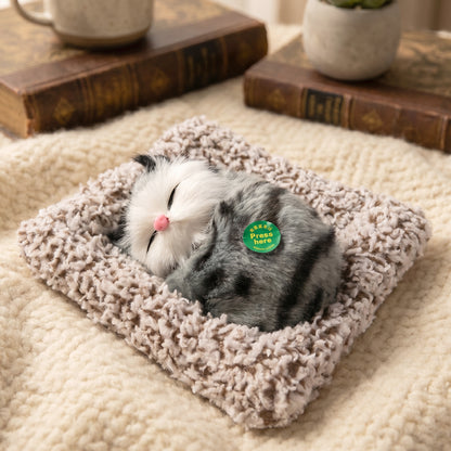 Cute cat open eye showpiece on shelf