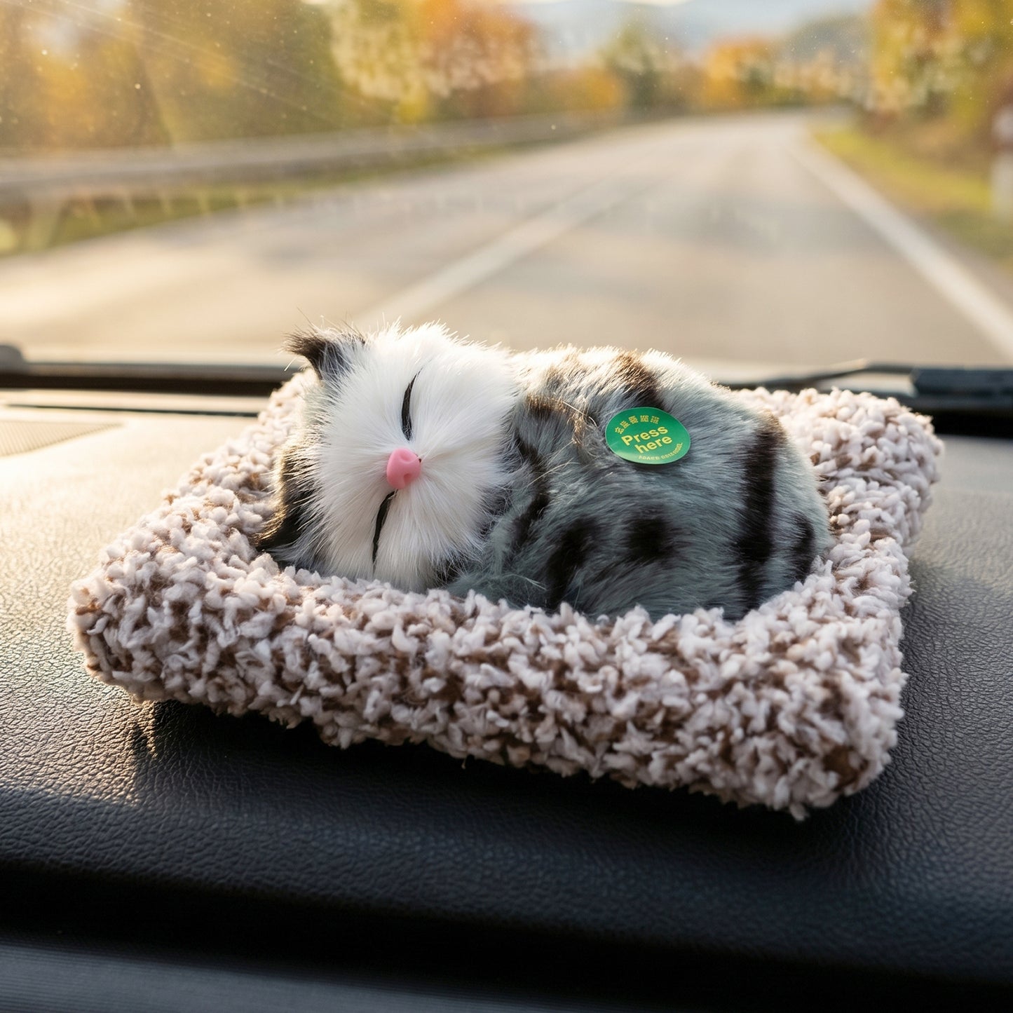 Decorative open eye cat showpiece close view