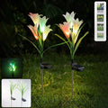 Solar Garden Flower Lights – Set of 2 Vibrant Multicolour LEDs
