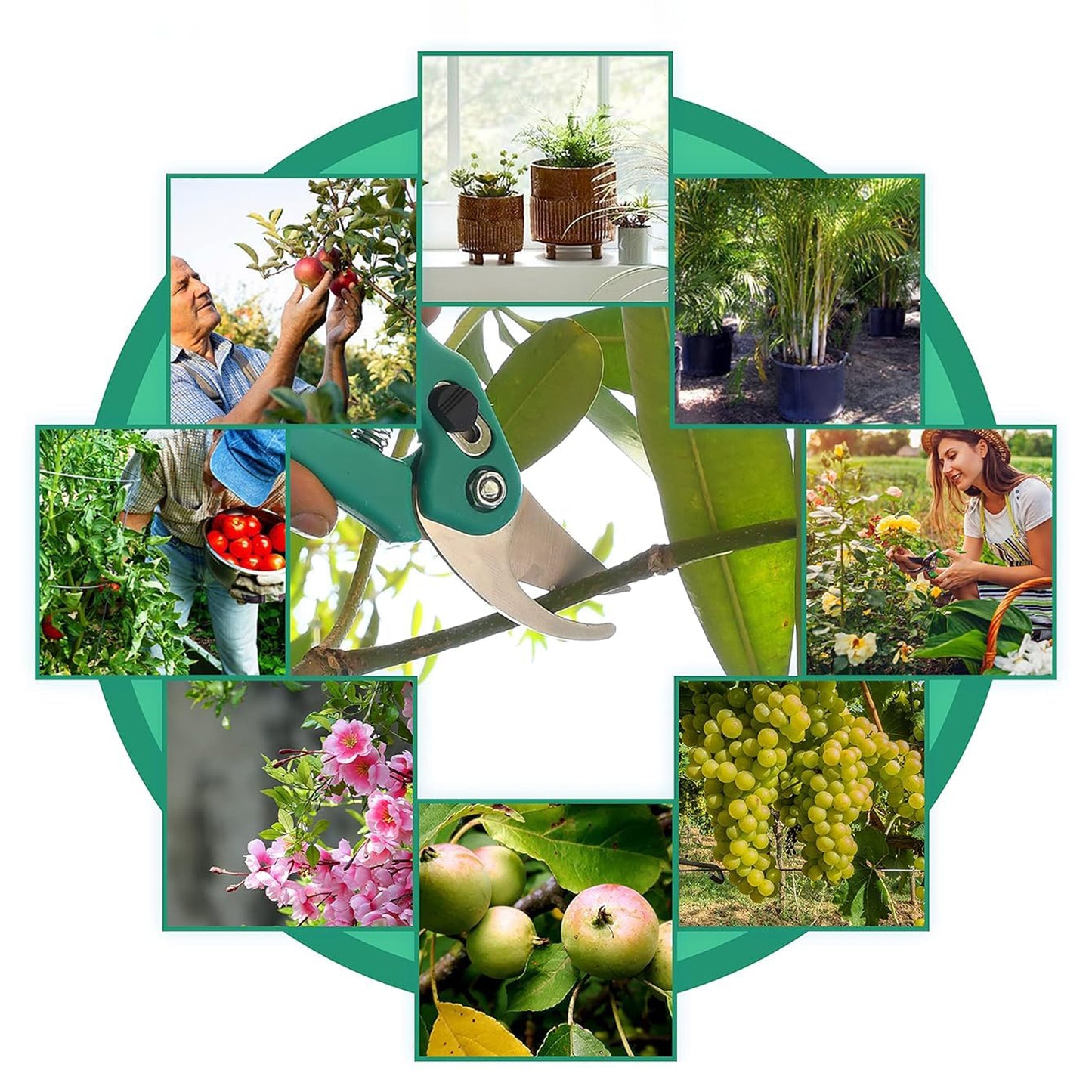 Garden Shears Pruners Scissor for Cutting Branches, Flowers, Leaves, Pruning Seeds