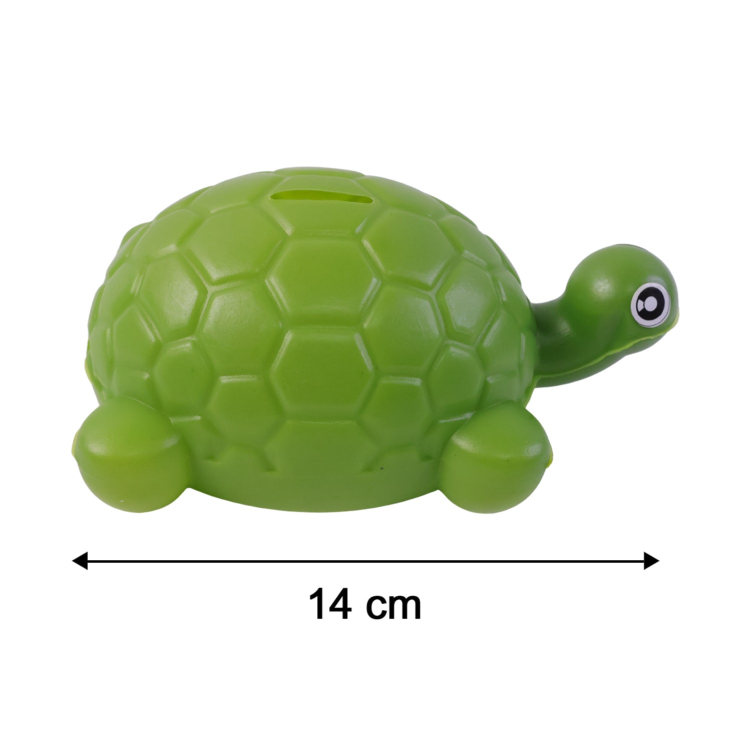 Small tortoise money bank size display