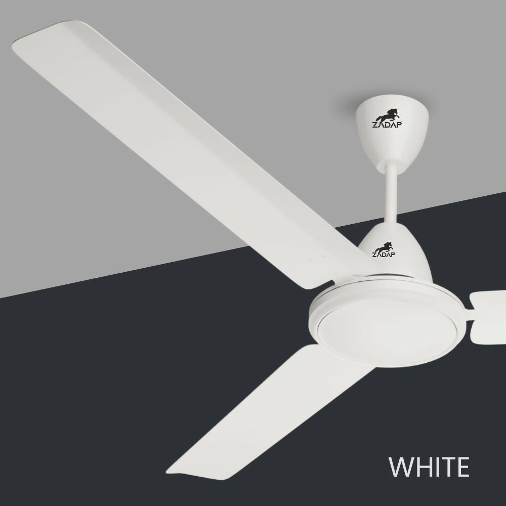 White - POST 2 .jpg