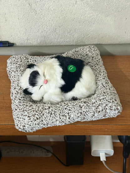 Sleeping Cat Car Dashboard Decor Soft Toy Showpiece for Home & Office