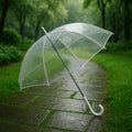 Transparent Dome Umbrella – Windproof with Comfortable Curved Handle