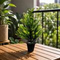 Refresh Your Home, Bedroom, Balcony & Hotels, Perfect Gift for All Celebrations!