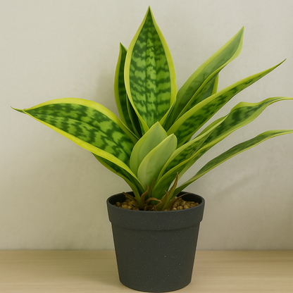 Artificial Snake Plant in Black Pot – Realistic Sansevieria Mother-in-Law’s Tongue Faux Plant – Tabletop Indoor Home Décor for Living Room, Office, Bedroom, and Balcony Decoration