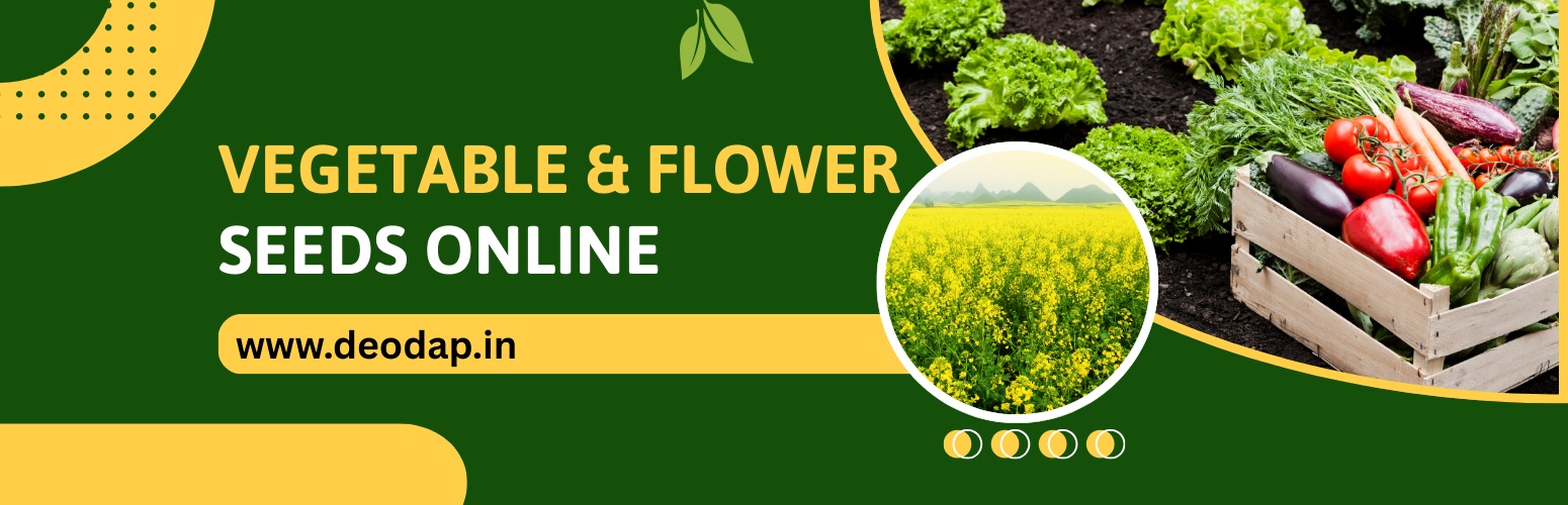 Top Quality Vegetable and Flower Seeds Online at Affordable Prices