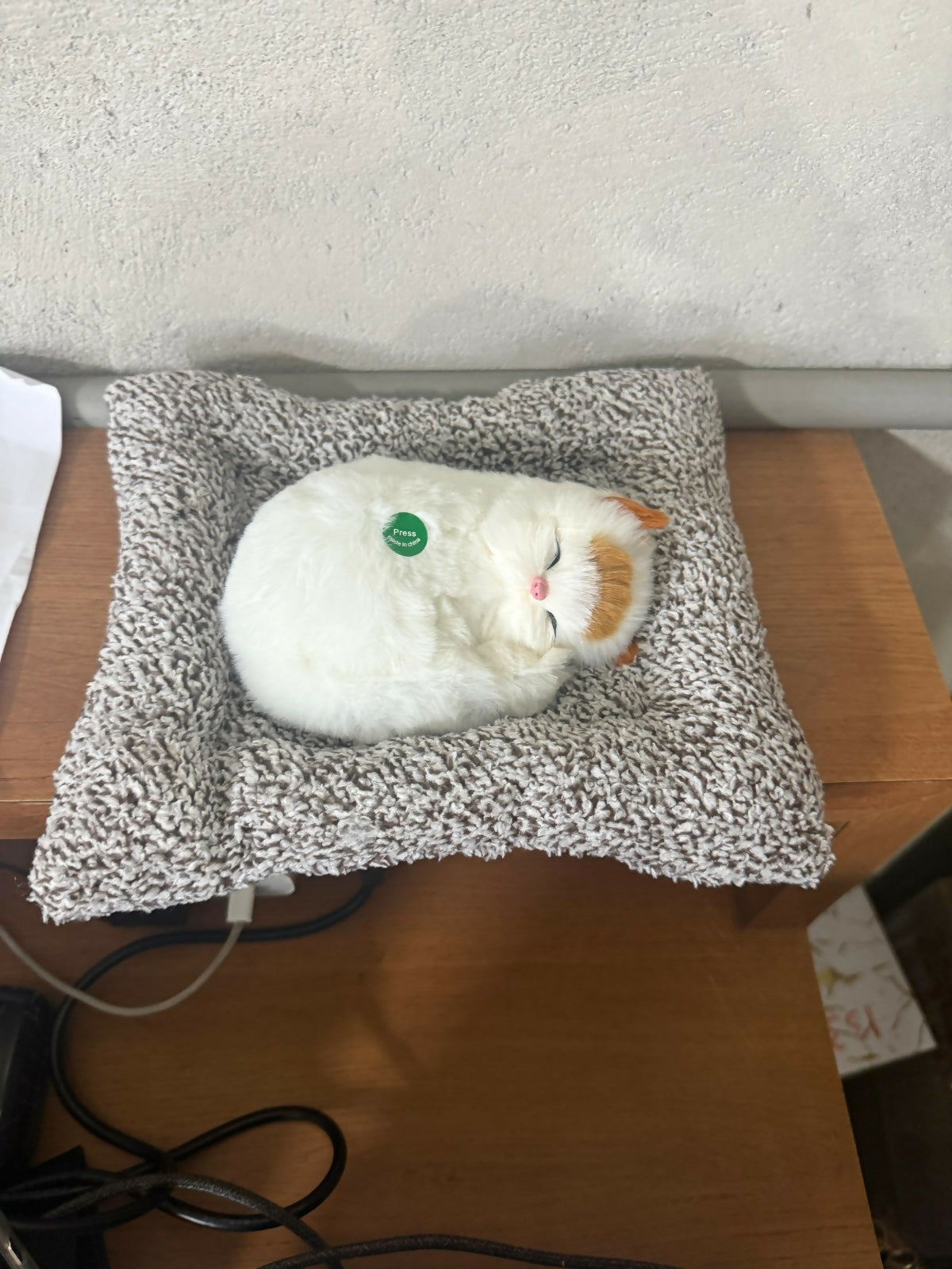 Sleeping Cat Showpiece on Soft Cushion for Home & Office Desk Decor
