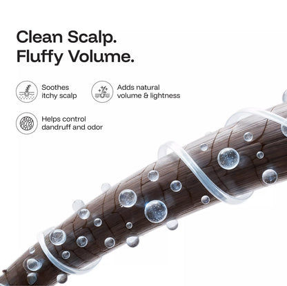 CINCINNUS Sea Salt Oil Control Fluffy Shampoo (380ML)