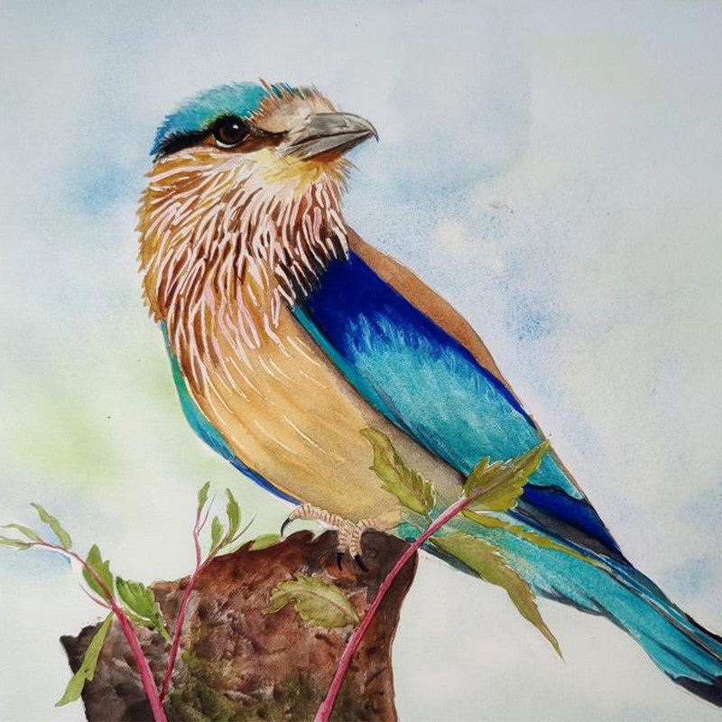 Camlin Students’ Water Colour Cakes – 18 Vibrant Shades with Brush (Bright Easy-Blend Colours)